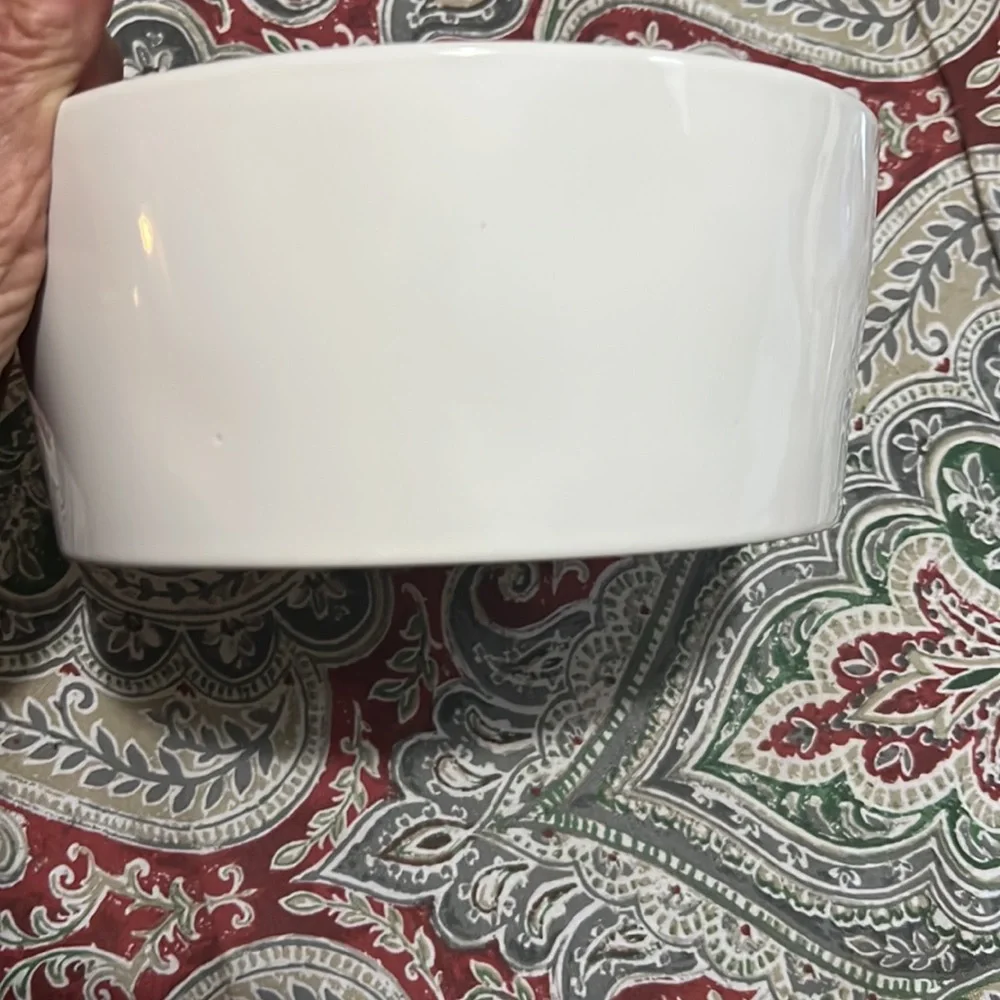 Rae Dunn Holiday dog bowl
